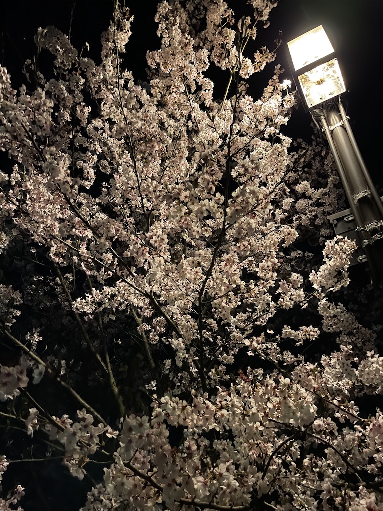 f:id:eiyu123:20220725220243j:image