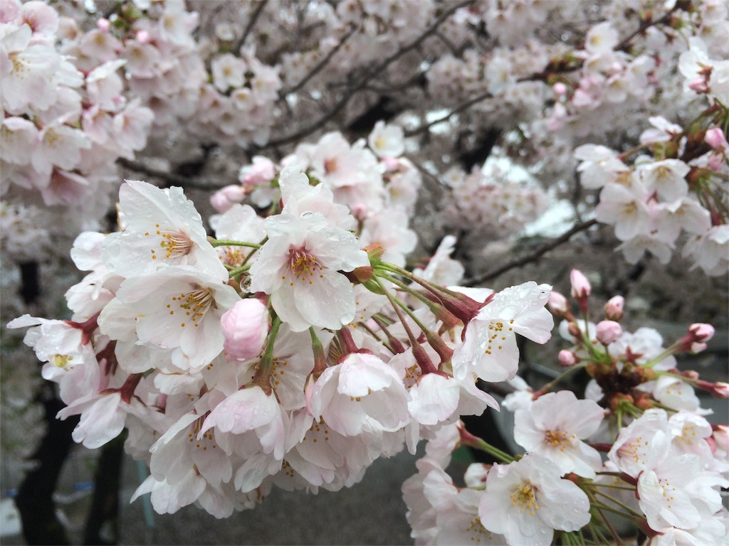 f:id:eizack:20170409160133j:image