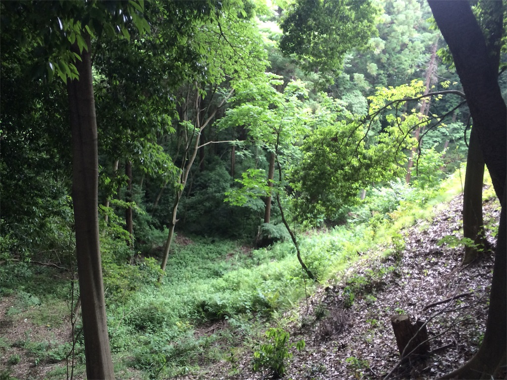 f:id:eizack:20170612073034j:image