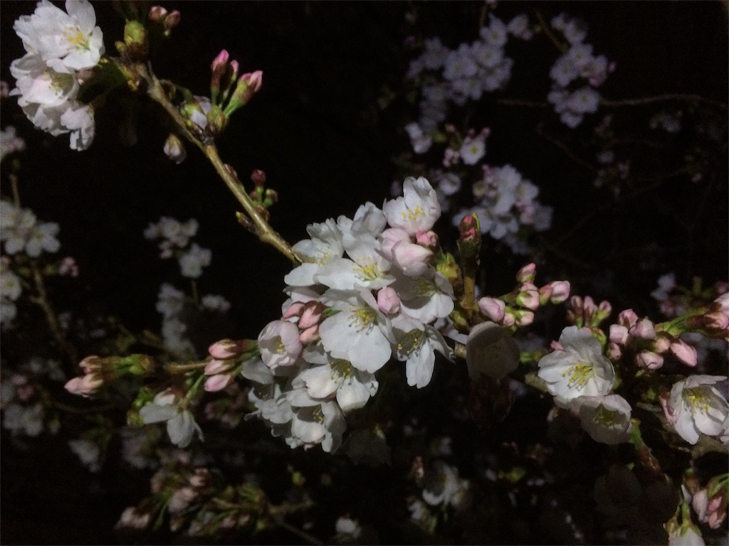 f:id:eizack:20180323232413j:image