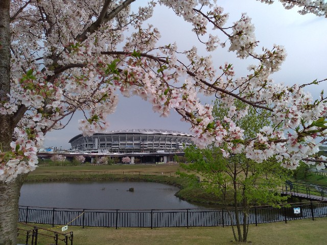 f:id:eizack:20200405212514j:image