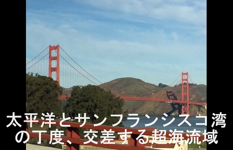 f:id:ek0901:20190325084430j:plain f:id:ek0901:20190325084430j:plain