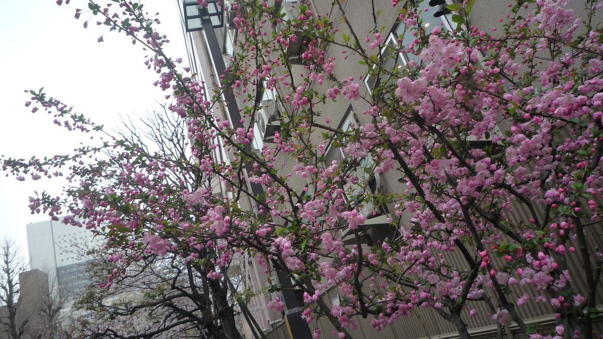 f:id:ek0901:20190428105128j:plain f:id:ek0901:20190428105128j:plain