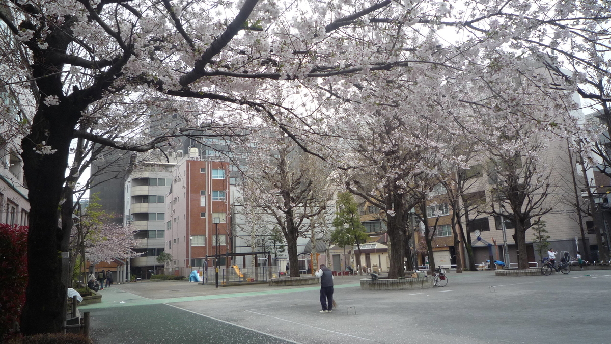 f:id:ek0901:20190428105241j:plain f:id:ek0901:20190428105241j:plain