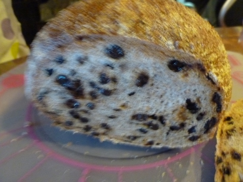 f:id:ek0901:20190503093234j:plain f:id:ek0901:20190503093234j:plain