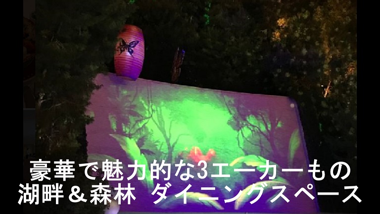 f:id:ek0901:20190512091658j:plain f:id:ek0901:20190512091658j:plain