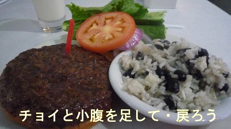 f:id:ek0901:20190512091856j:plain f:id:ek0901:20190512091856j:plain