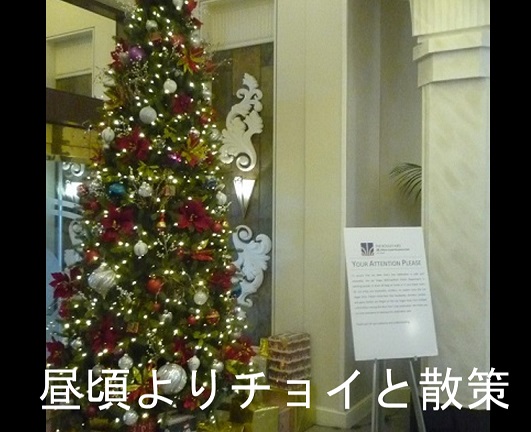 f:id:ek0901:20190524071200j:plain