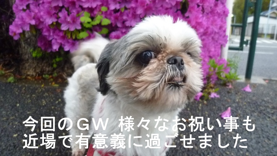 f:id:ek0901:20190602084516j:plain f:id:ek0901:20190602084516j:plain