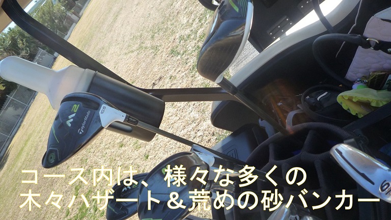 f:id:ek0901:20190612084931j:plain f:id:ek0901:20190612084931j:plain