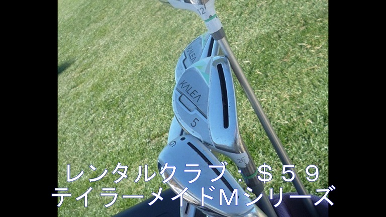 f:id:ek0901:20190612084940j:plain f:id:ek0901:20190612084940j:plain
