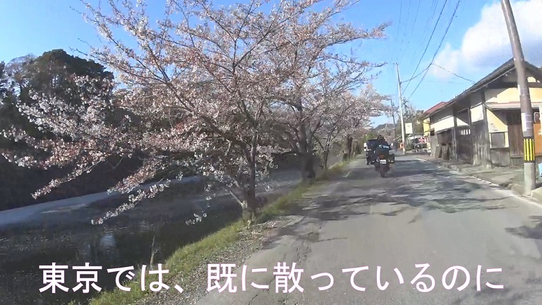 f:id:ek0901:20190620111255j:plain f:id:ek0901:20190620111255j:plain