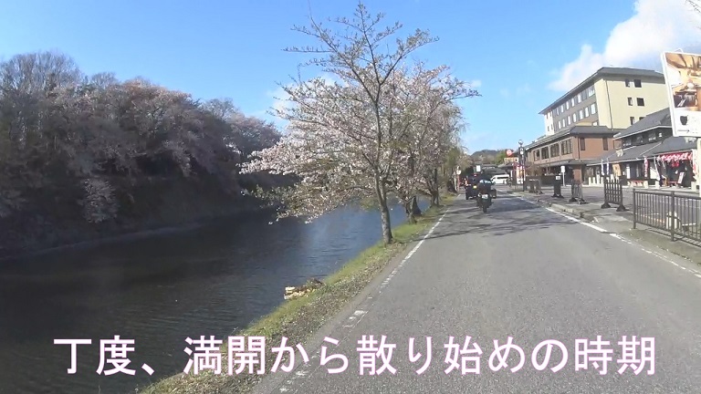 f:id:ek0901:20190620111312j:plain f:id:ek0901:20190620111312j:plain