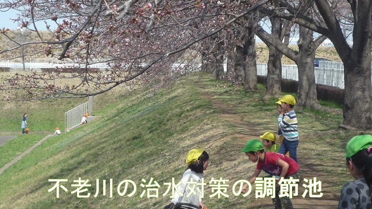 f:id:ek0901:20190625094147j:plain f:id:ek0901:20190625094147j:plain