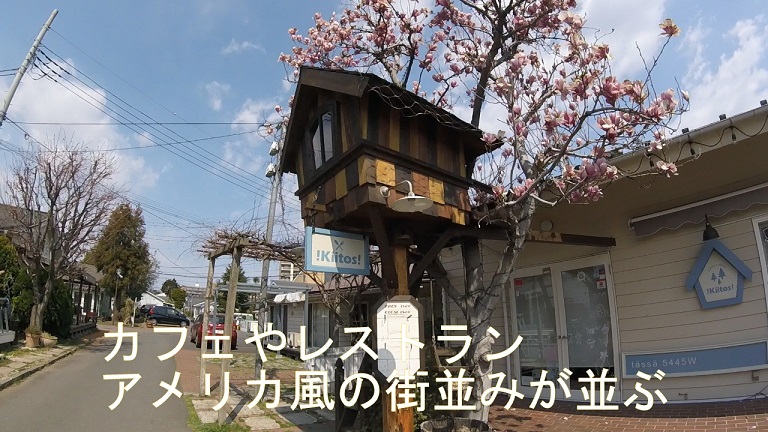 f:id:ek0901:20190625094443j:plain f:id:ek0901:20190625094443j:plain