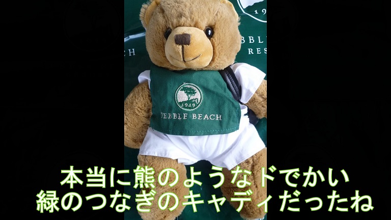 f:id:ek0901:20190628093153j:plain f:id:ek0901:20190628093153j:plain