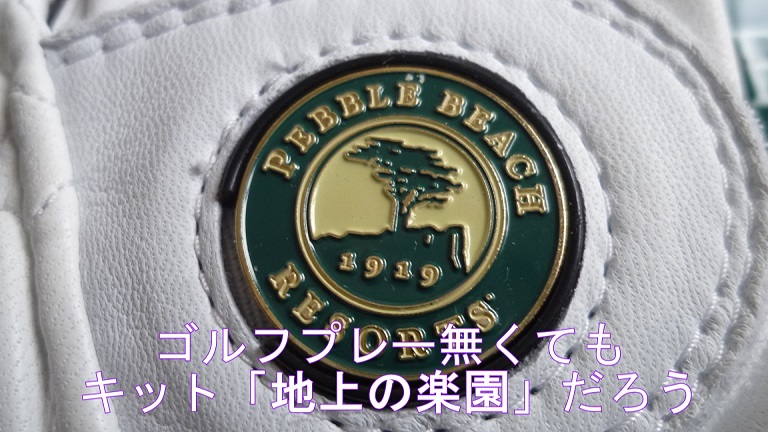 f:id:ek0901:20190628093329j:plain f:id:ek0901:20190628093329j:plain