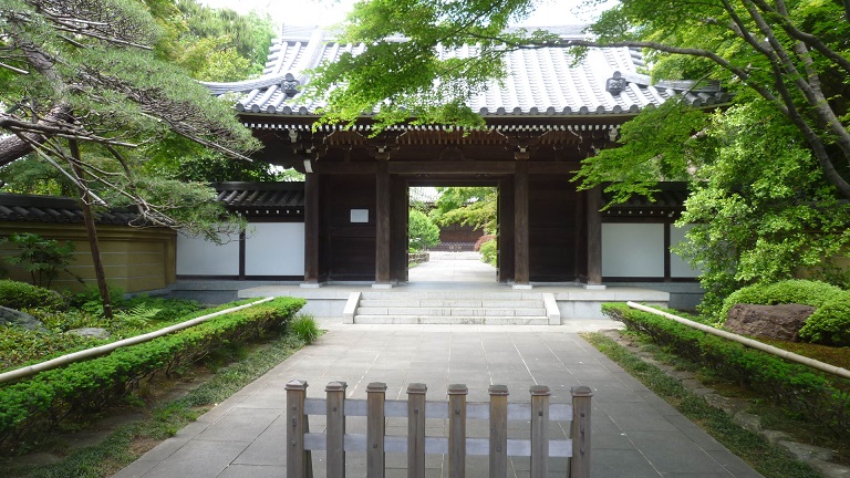 f:id:ek0901:20190629094545j:plain f:id:ek0901:20190629094545j:plain