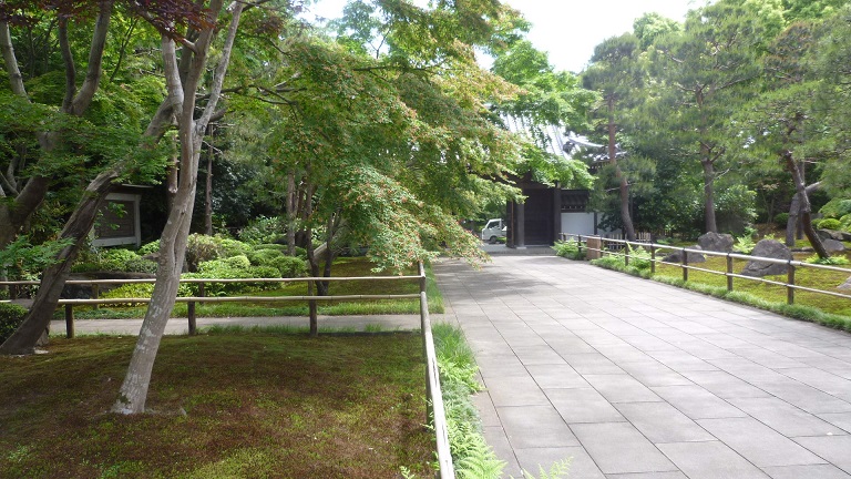 f:id:ek0901:20190629095500j:plain f:id:ek0901:20190629095500j:plain