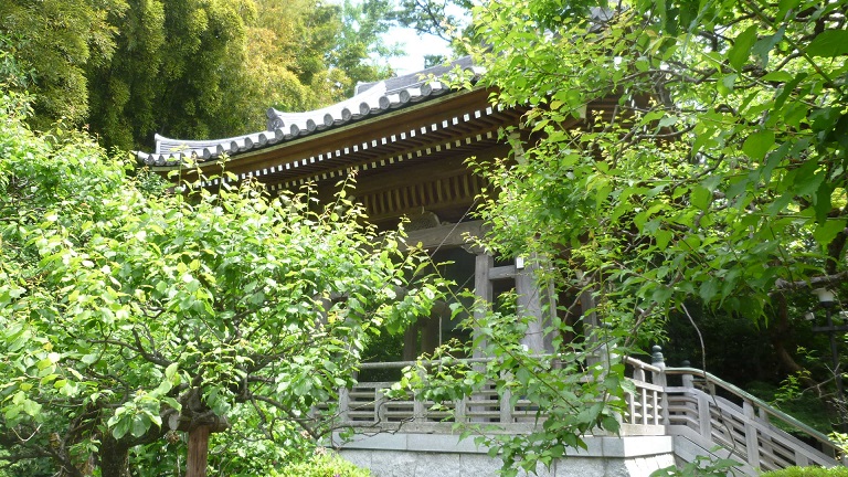 f:id:ek0901:20190629095541j:plain