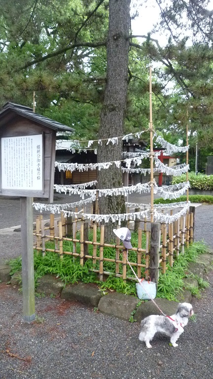 f:id:ek0901:20190701095211j:plain