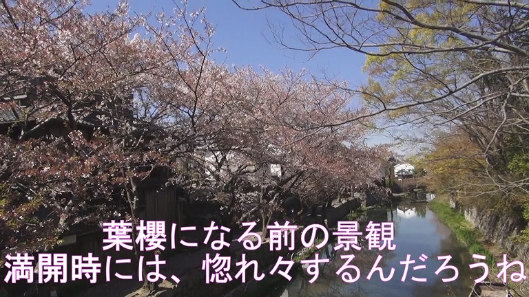 f:id:ek0901:20190710121711j:plain