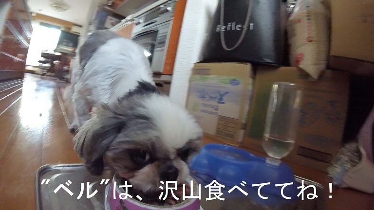 f:id:ek0901:20190722081343j:plain f:id:ek0901:20190722081343j:plain