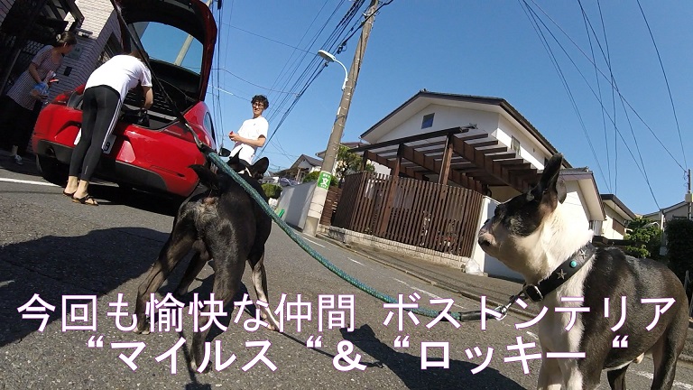 f:id:ek0901:20190722081356j:plain f:id:ek0901:20190722081356j:plain