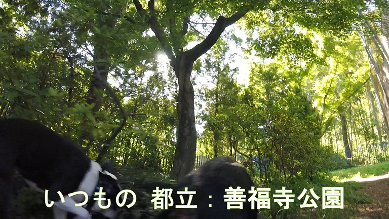 f:id:ek0901:20190722081410j:plain f:id:ek0901:20190722081410j:plain