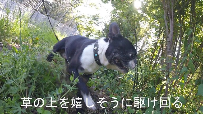 f:id:ek0901:20190722081428j:plain f:id:ek0901:20190722081428j:plain
