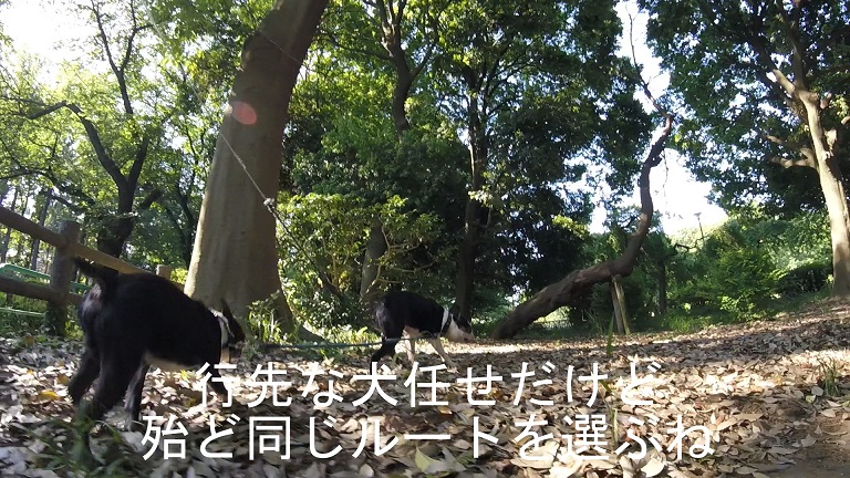 f:id:ek0901:20190722081442j:plain f:id:ek0901:20190722081442j:plain