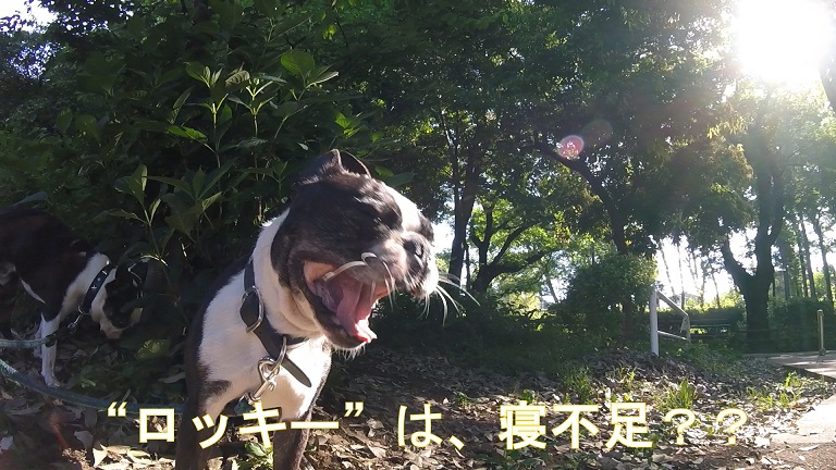 f:id:ek0901:20190722081507j:plain f:id:ek0901:20190722081507j:plain