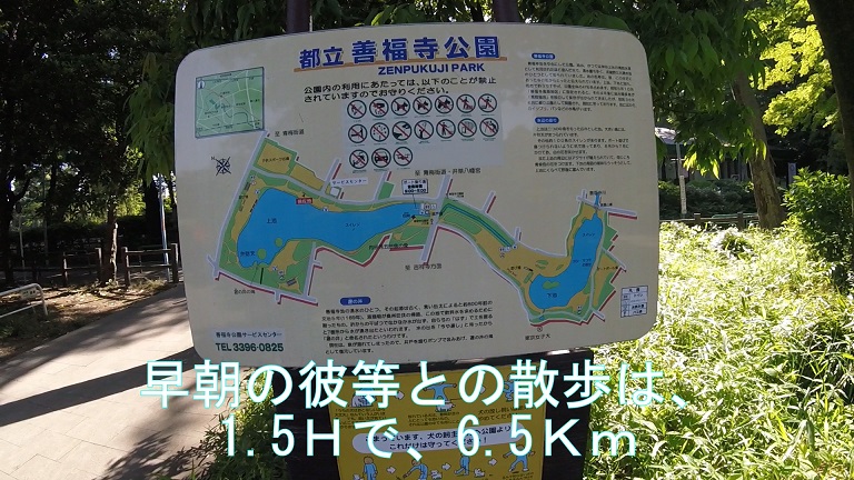 f:id:ek0901:20190722081519j:plain f:id:ek0901:20190722081519j:plain