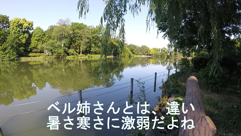 f:id:ek0901:20190722081530j:plain f:id:ek0901:20190722081530j:plain