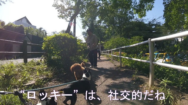 f:id:ek0901:20190722081543j:plain f:id:ek0901:20190722081543j:plain