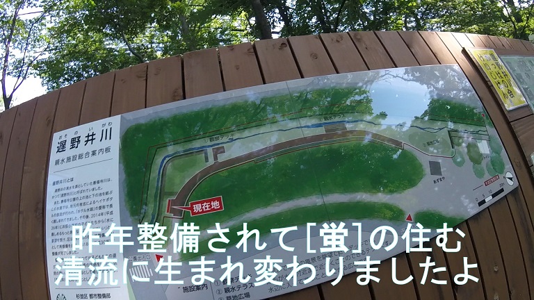 f:id:ek0901:20190722081556j:plain f:id:ek0901:20190722081556j:plain