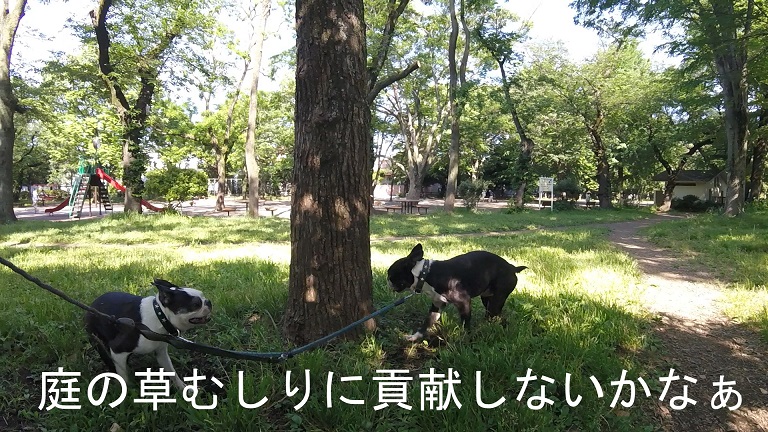 f:id:ek0901:20190722081622j:plain f:id:ek0901:20190722081622j:plain