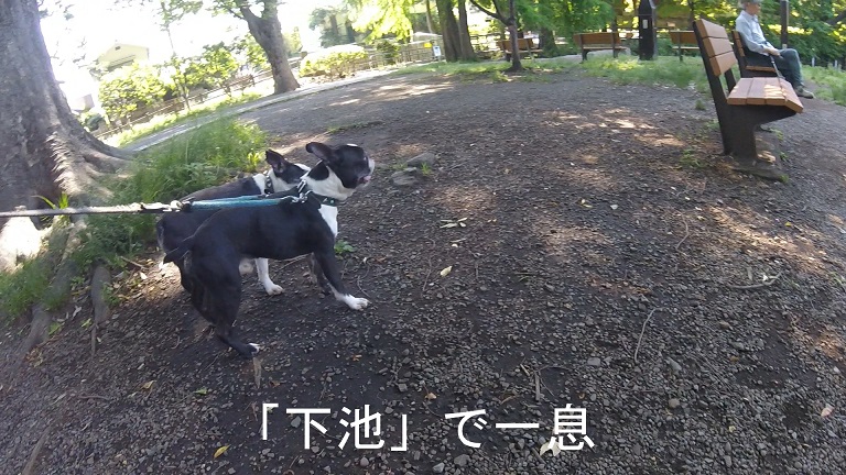 f:id:ek0901:20190722081632j:plain f:id:ek0901:20190722081632j:plain