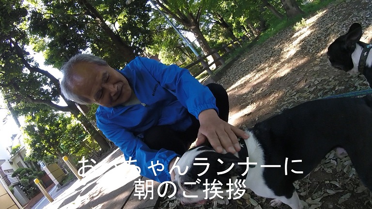 f:id:ek0901:20190722081645j:plain f:id:ek0901:20190722081645j:plain