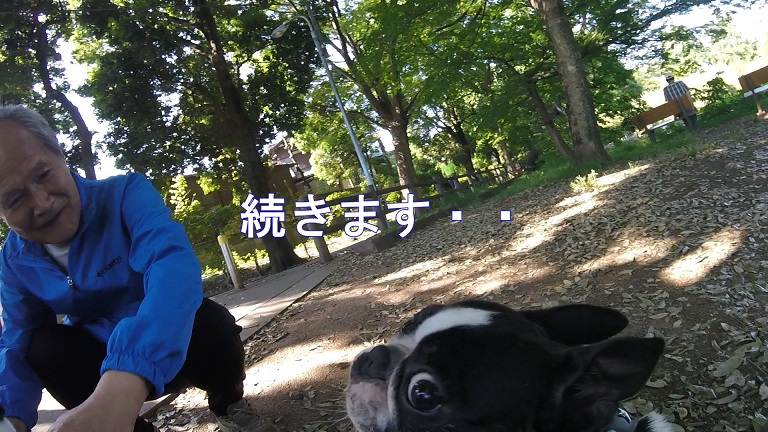 f:id:ek0901:20190722081656j:plain f:id:ek0901:20190722081656j:plain