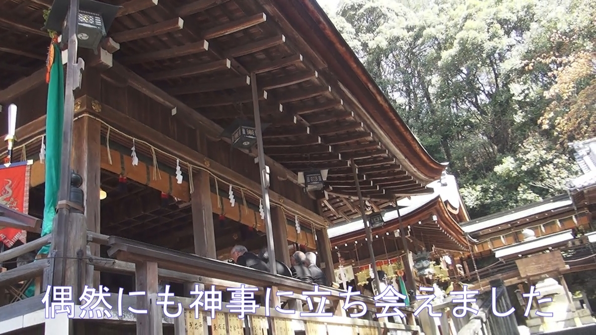 f:id:ek0901:20190724100635j:plain f:id:ek0901:20190724100635j:plain