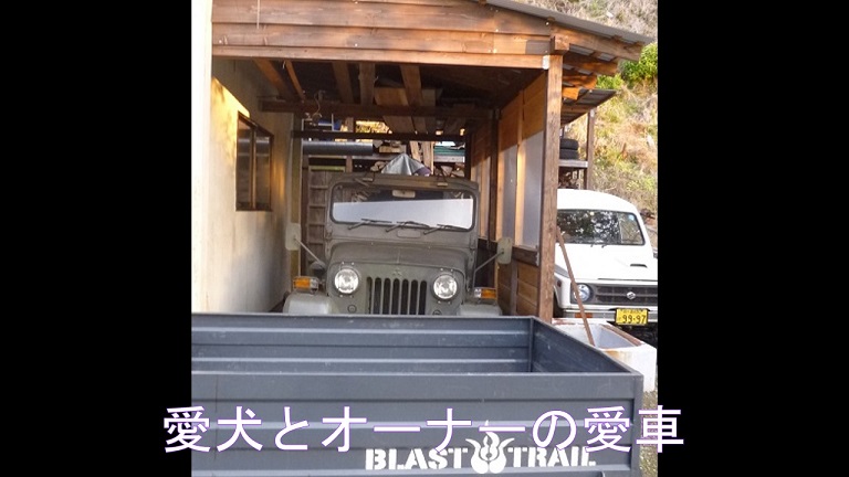 f:id:ek0901:20190727122137j:plain f:id:ek0901:20190727122137j:plain