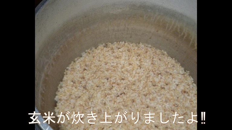 f:id:ek0901:20190727140603j:plain f:id:ek0901:20190727140603j:plain