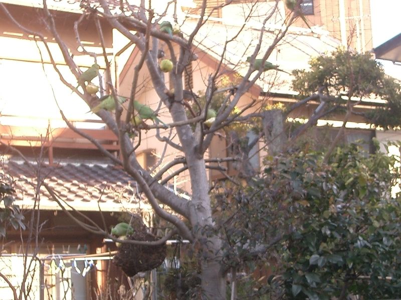 イメージ 1
