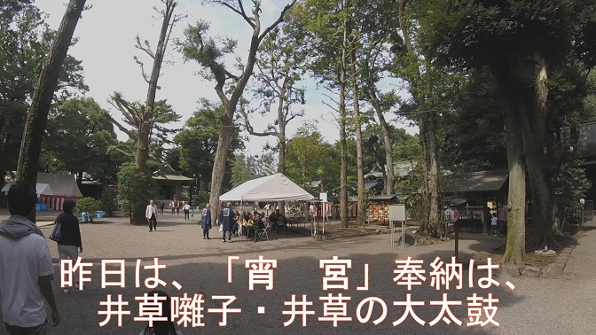 イメージ 12
