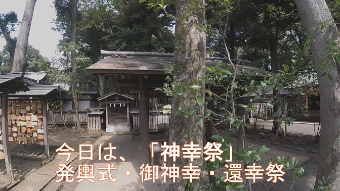 イメージ 13