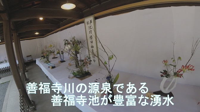 イメージ 19