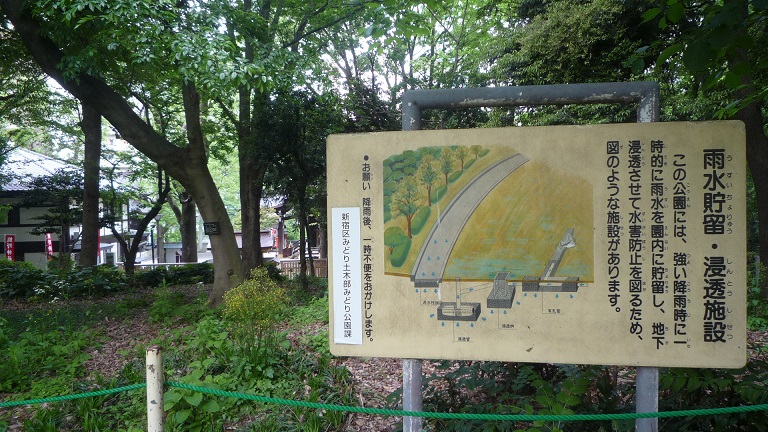 イメージ 35