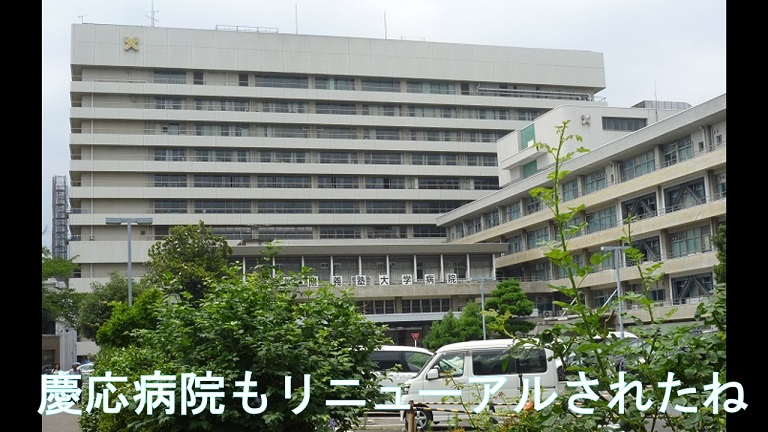 f:id:ek0901:20190731105643j:plain f:id:ek0901:20190731105643j:plain