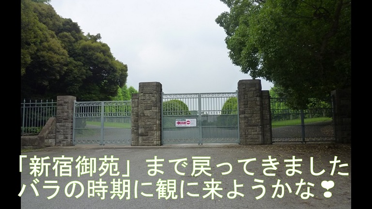 f:id:ek0901:20190731105808j:plain f:id:ek0901:20190731105808j:plain